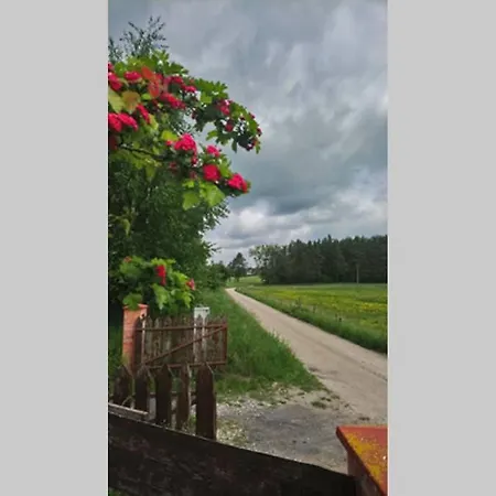 Dom Pod Dzika Grusza Piecki (Warmian-Masurian)
